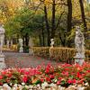Фотографии отеля Обзорная экскурсия по Санкт-Петербургу