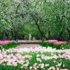 Фотографии отеля Коломенское