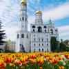Фотографии отеля Кремль и соборы