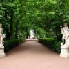 Фотографии отеля Обзорная экскурсия по Санкт-Петербургу